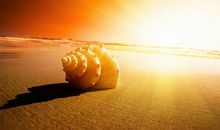 沉醉在书的世界