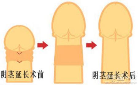 共享生活，这是好的吗？