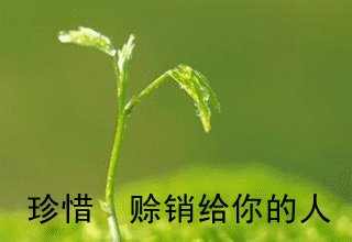 记住别人对你的好感