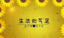 生命因为细节而感动