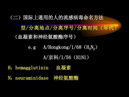 病毒对人类说