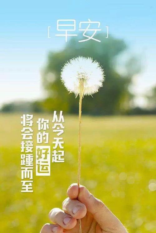 我很漂亮，因为我真的是真的。