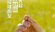 我美丽因为我真实