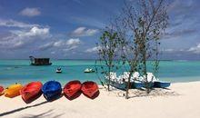 闪烁的未来新星