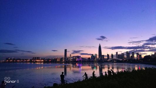 冬季之旅深圳湾公园