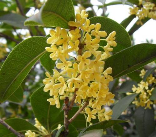 四个季节