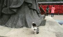 有你真的很辛福