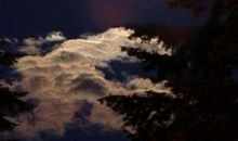 遥远的海里带有思恋