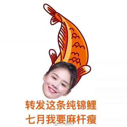 我是一个风