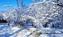 听听雪花的声音