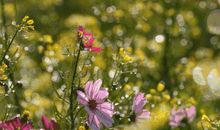 寻找属于自己的春天