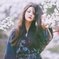 尘埃梦想