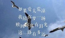 我不曾忘记心中的你