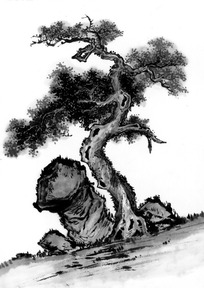 松树