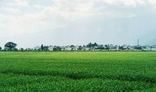 吾心归处即远方