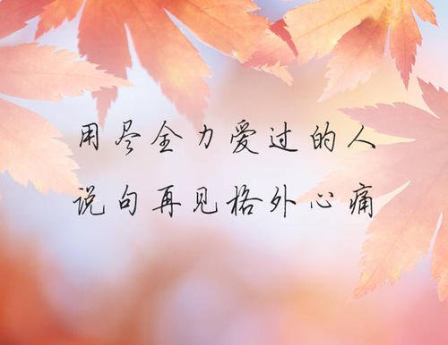 因为我不想放弃