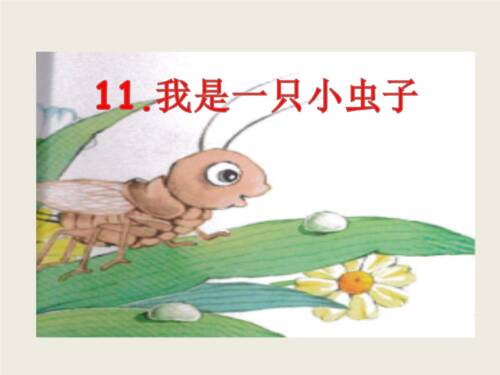 如果我是一个小虫
