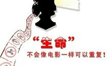 珍惜生命中的所有