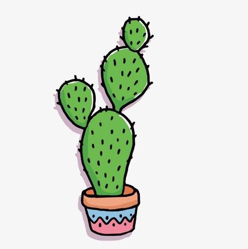 仙人掌也是我的老师