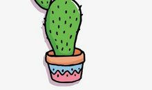 仙人掌也是我的老师