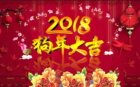 春节在我心中