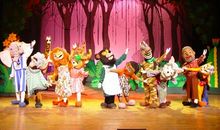 记一次精彩演出