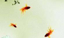 小草拨动了我的心弦