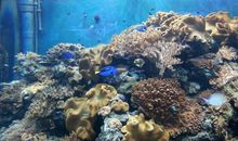 我与共享的一次邂逅