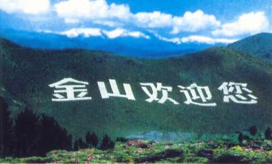 我同意东沟
