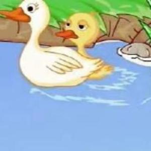 鸭子技巧