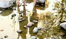 青春如诗岁月如歌