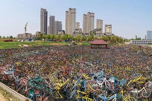 我们分享的是一个城市。