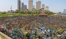 我们共享的，是一座城市