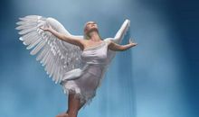 折断翅膀也要飞翔