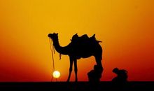 背着自己的历史前行