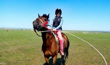 我和草原的邂逅