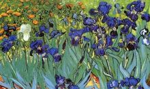 让生命之花永不凋零