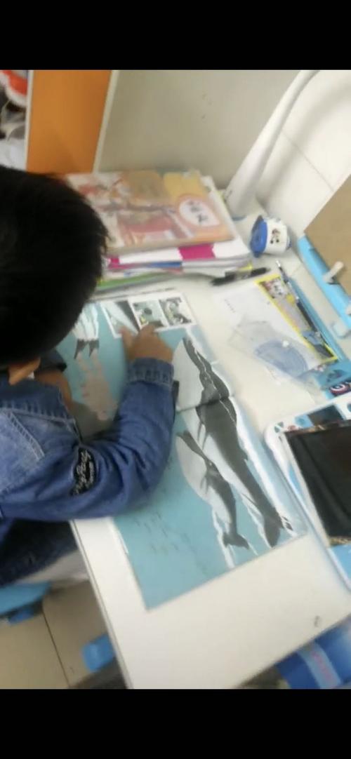 我想回到校园里。