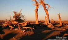 坚强是生命的脊梁