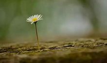 你让我的世界豁然开朗