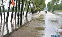 榆树、桥和小河