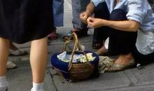 我闻到了夏天的味道