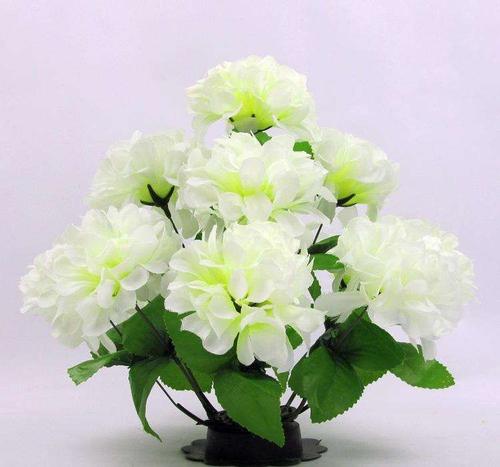 清明节失踪亲戚