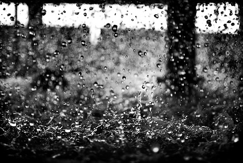 美丽的雨天