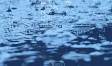 你让我的世界开始下雨