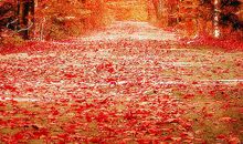 眷恋那段美好的时光