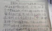 巨大的蚂蚁作文300字三年级下册