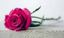 让生命如花一样绽放