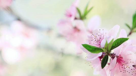我不想要春节