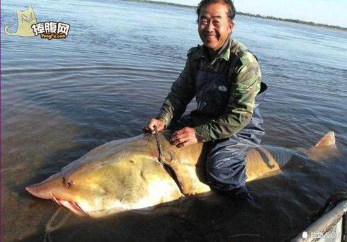 难忘的麻烦